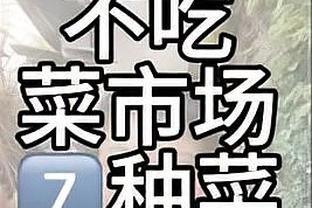 开云app最新下载官网截图2